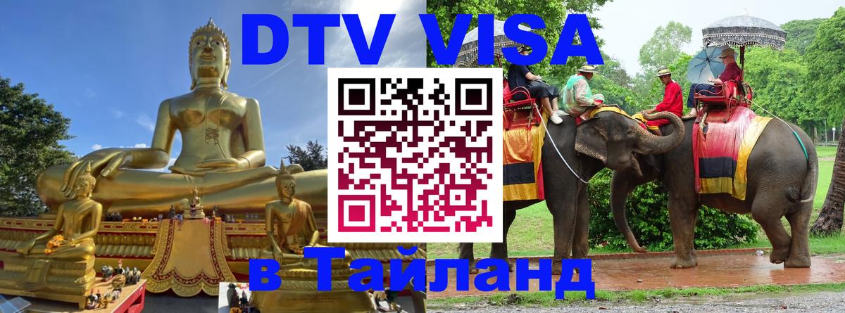 Оформление DTV визы под ключ: стоимость и тарифы, только загранпаспорт - Пенза  05.10.2025 